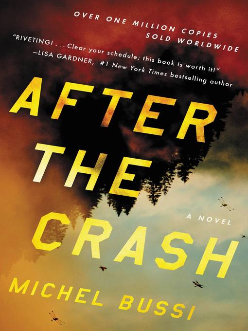 Title details for After the Crash by Michel Bussi - Wait list